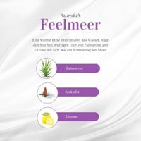 Geurstokjes feelmeer bio demeter 50 Milliliter - thumbnail