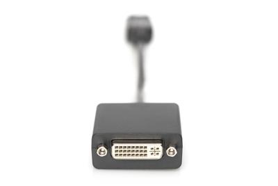 Digitus DB-340409-001-S DVI / DisplayPort Adapter [1x DisplayPort stekker - 1x DVI-bus 24+5-polig] Zwart Rond, Afgeschermd (dubbel), Afsluitbaar 15.00 cm