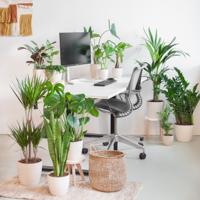 Groene Werkplekbox - 12 stuks - thumbnail