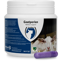 Goatperien bolus voor geiten - thumbnail