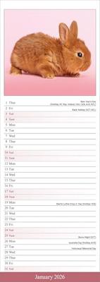 Konijnen Kalender 2026 Slimline