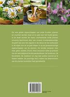 Eetbare wilde kruiden en planten - thumbnail