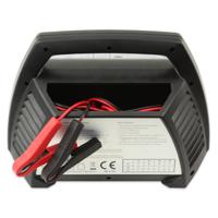 Ansmann ALCT-6-24/10 Accu, multioplader, 6 V/12 V/24 V, 10 A - thumbnail