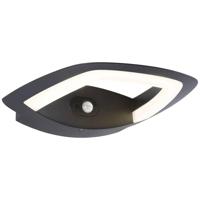 Paulmann Akena 94838 LED-buitenlamp (wand) LED LED vast ingebouwd 11 W Antraciet - thumbnail