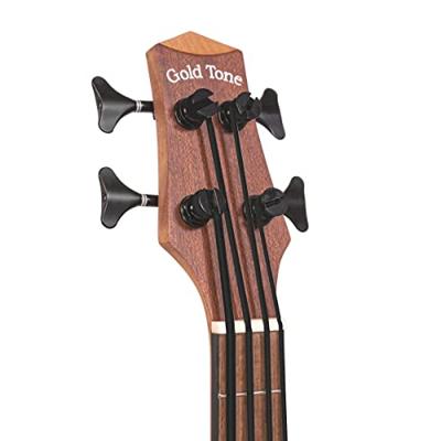 Gold Tone M-BASS/L linkshandige Microbass met gigbag