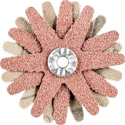 PFERD TOOLS 42732063 Schuurster Diameter 50 mm 10 stuk(s)