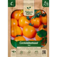 Cocktail tomaat figiel - thumbnail