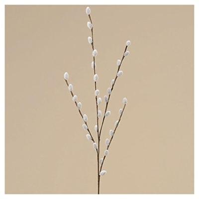 Boltze Home Decoratieve tak wilgenkatjes 75cm