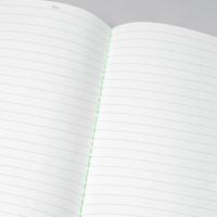 Sigel LS301 Notitieboekje Linescape Softcover 2 stuk(s) DIN A5 Gelinieerd Lichtgrijs, Neon-groen Aantal paginas: 34 - thumbnail
