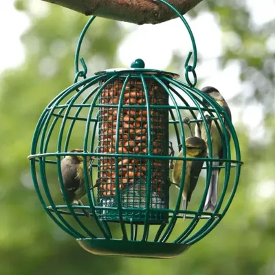 Vogelbescherming London pindasilo