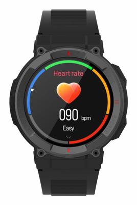 Smartwatch Denver Electronics SWG339