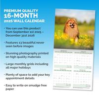 Pomeranian Kalender 2026 - thumbnail