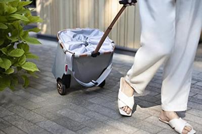 Reisenthel Carrycruiser Frame-Twist Sky Rose