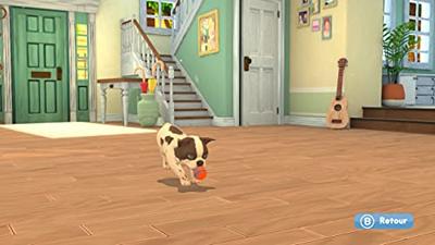 My Universe: Puppies and Kittens My Universe: Puppies and Kittens
