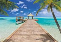 Komar Home; Komar Colours Fotobehang Beach Resort - 8-921 - thumbnail