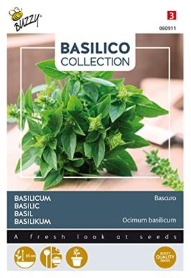 Zaden Basilicum Bascuro Buzzy - Buzzy