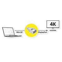 VALUE DisplayPort adapter, Mini DP Male - DP Female - thumbnail