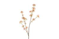 Decostar zijdebloem Malus 111 cm zalm - thumbnail