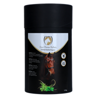Excellent Horse Parex 1,5 kg - thumbnail