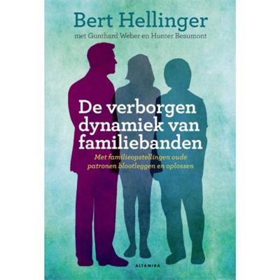 De verborgen dynamiek van familiebanden (Paperback)