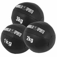 Medicine ball set 6 kg leer - thumbnail
