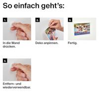 Fischer 570492 Press2fix magneet 4 stuk(s) - thumbnail