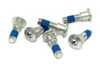 TRW bouten set screw set 6pcs. m8x1,25 - thumbnail