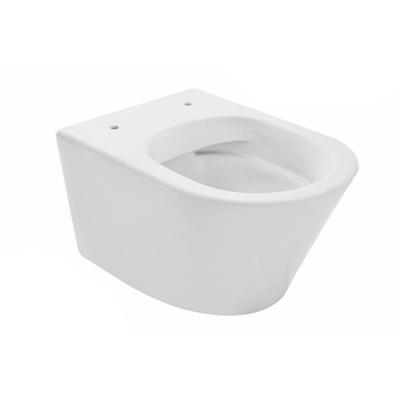 Wandcloset Boss & Wessing Vicente Diepspoel Rimless Mat Wit Boss & Wessing Wandcloset Boss & Wessing Vicente Diepspoel Rimless Mat Wit Boss & Wessing