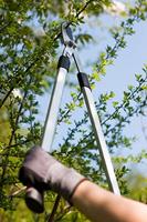 Meister Takkenschaar Bypass Alu 2K - WU9769500 - thumbnail