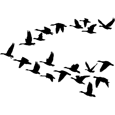 Ganzen - Muursticker Ganzen - Muursticker