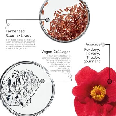 Framesi Morphosis Re-Structure Shampoo 250ml Framesi Morphosis Re-Structure Shampoo 250ml