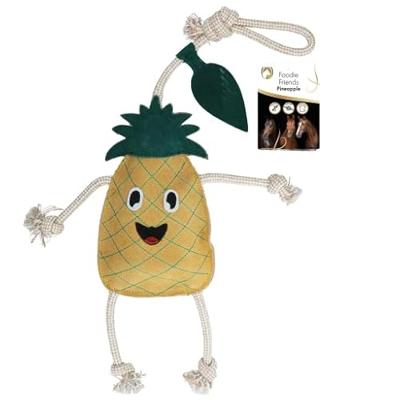Excellent Horse Foodie Friends Pineapple Crackling