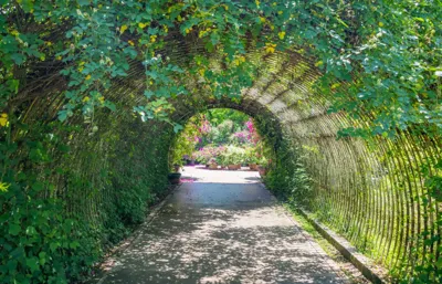 Alexsar Art Tuindoek klimplant 140x90cm