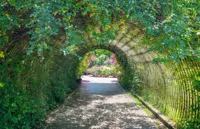 Alexsar Art Tuindoek klimplant 140x90cm - thumbnail