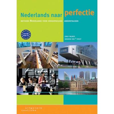 Nederlands naar perfectie - Emily Palmer, Miranda van ‘T Wout - Paperback (9789046904527)
