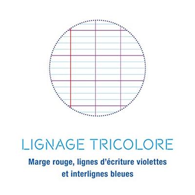 Clairefontaine ringbandinterieur Metric, ft A4, 9-gaatsperforatie, los, 100 bladzijden, seyès
