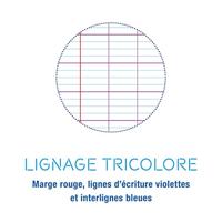 Clairefontaine ringbandinterieur Metric, ft A4, 9-gaatsperforatie, los, 100 bladzijden, seyès - thumbnail