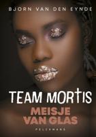 Meisje van Glas - Bjorn Van den Eynde - ebook - thumbnail