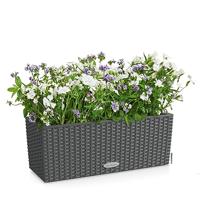 Bloempot Lechuza Zwart Grijs Polypropyleen - thumbnail