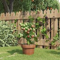 VidaXL Plantensteunen 5 st met 3 ringen 60 cm staal groen - thumbnail