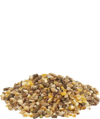 Versele Laga Country's Best Gold 4 scharrelmix kippenvoer 20 kg Versele Laga Country's Best Gold 4 scharrelmix kippenvoer 20 kg