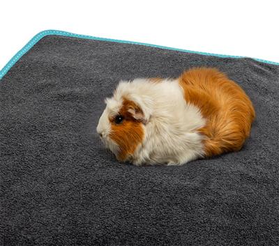 BUNNY NATURE BUNNYBEDDING EASY PLASMAT TURQUOISE