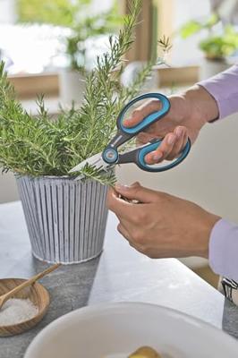 GARDENA 12214-36 HerbCut Tuinschaar - thumbnail