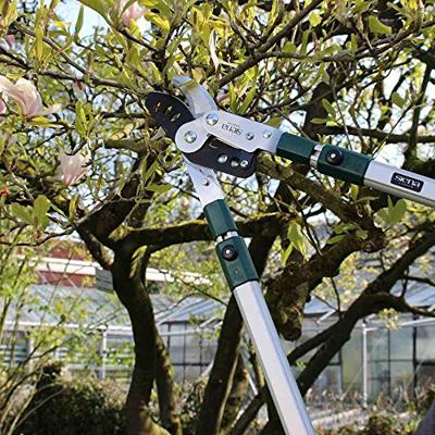 Siena Garden CL2102 Takkenschaar Bypass