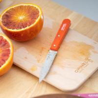 OPINEL - N.113 - Kartelmes 10cm kartel Naturel - thumbnail