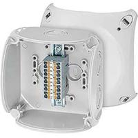 Hensel 62000293 Verdeeldoos Halogeenvrij, Verzegelbaar, Weerbestendig (l x b) 104 mm x 104 mm 1 stuk(s) - thumbnail