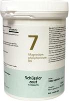 Pfluger Celzout 07 Magnesium Phosphoricum D6 Tabletten - thumbnail