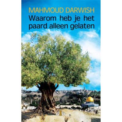 Waarom heb je het paard alleen gelaten (Paperback)