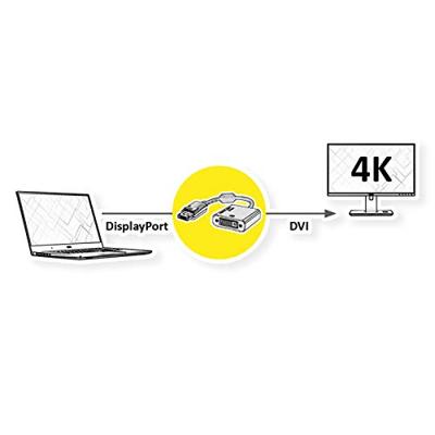 Roline 12.03.3175 DisplayPort-kabel DisplayPort / DVI Adapterkabel DisplayPort-stekker, DVI-D 24+1-polige bus 0.15 m Zwart/goud