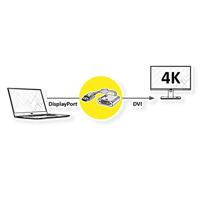 Roline 12.03.3175 DisplayPort-kabel DisplayPort / DVI Adapterkabel DisplayPort-stekker, DVI-D 24+1-polige bus 0.15 m Zwart/goud - thumbnail
